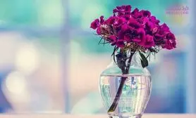 بهترین جایگزین بجای درگیر شدن با دیگران