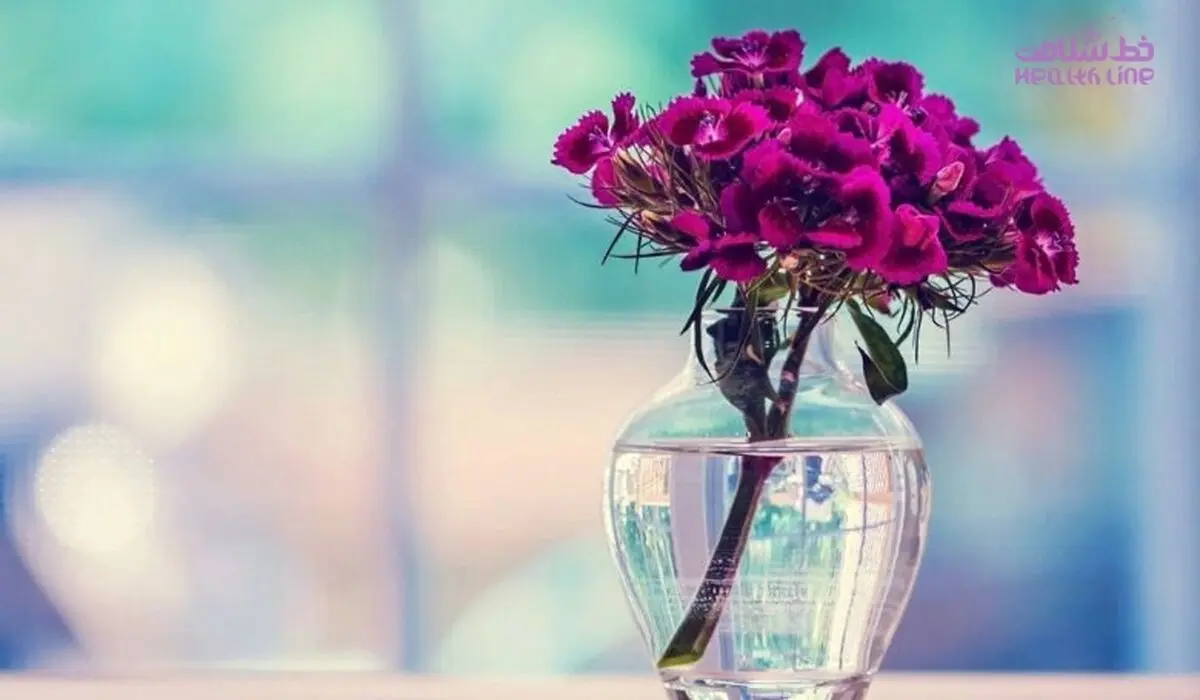 بهترین جایگزین بجای درگیر شدن با دیگران