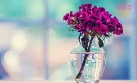 بهترین جایگزین بجای درگیر شدن با دیگران