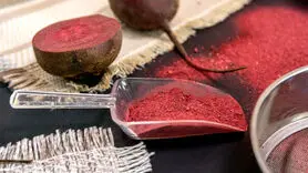 5 فایده بی نظیر پودر چغندر + روش های آشپزی