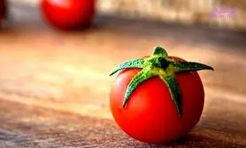 4 فایده سیب عشق برای حافظه