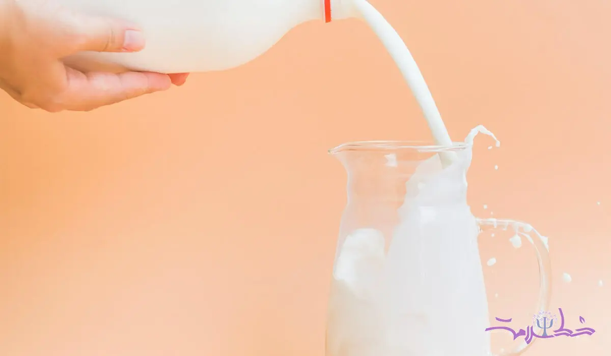 شیر شتر مقوی تر است یا شیر گاو؟/ اثرات معجزه آسای شیر شتر بر 11 بیماری