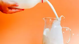 شیر شتر مقوی تر است یا شیر گاو؟/ اثرات معجزه آسای شیر شتر بر 11 بیماری