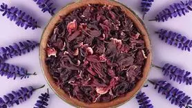 خواص گل شقایق برای درمان مشکلات خواب  و قاعدگی+ طرز تهیه دمنوش گل شقایق