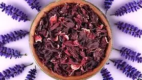خواص گل شقایق برای درمان مشکلات خواب  و قاعدگی+ طرز تهیه دمنوش گل شقایق