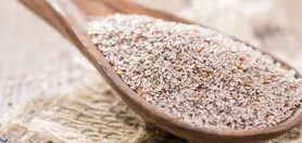 خواص شفا بخش اسفرزه را چقدر می شناسید؟
