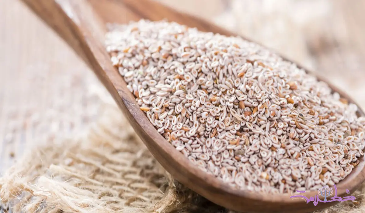 خواص شفا بخش اسفرزه را چقدر می شناسید؟