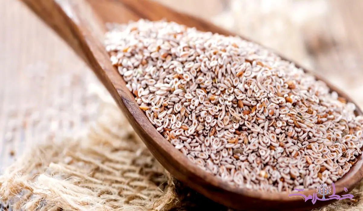 خواص شفا بخش اسفرزه را چقدر می شناسید؟