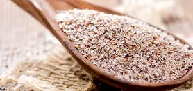 خواص شفا بخش اسفرزه را چقدر می شناسید؟
