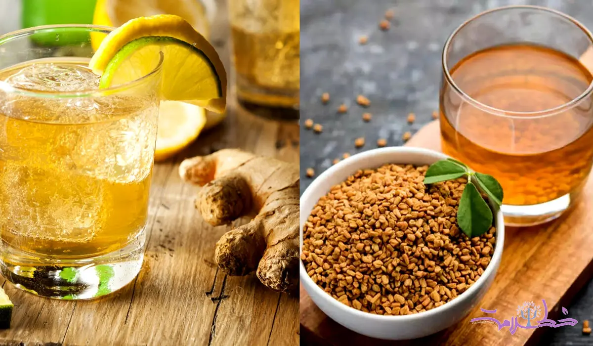 مقایسه آب زنجبیل و آب شنبلیله: کدامیک برای کاهش چربی شکم بهتر است؟
