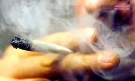 حشیش چگونه مغز را خاموش می کند