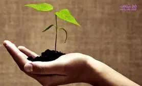 4اشتباه که باعث می شود به هدف نزنید / این موارد را چقدر به کار می برید ؟