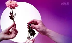 این ماده غذایی میل جنسی را می کشد