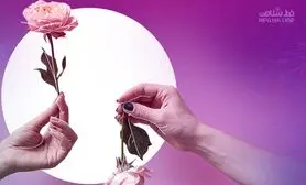 این ماده غذایی میل جنسی را می کشد