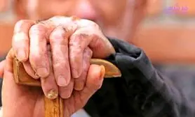 چرا بعضی افراد مغزشان یخ می زند؟ / اگر می خواهید زود پیر نشوید بخوانید