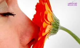 تاثیر مثبت گل بر سلامت روانی