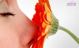 تاثیر مثبت گل بر سلامت روانی