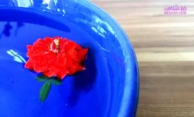 در چه سنی رابطه جنسی کم می شود / 2 اقدام برای افزایش میل جنسی