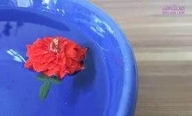 در چه سنی رابطه جنسی کم می شود / 2 اقدام برای افزایش میل جنسی