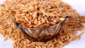 چلغوز دارویی موثر برای اعصاب و خواب