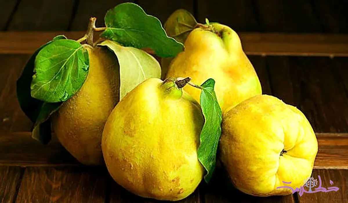 خواص شگفت انگیز به برای زیبایی پوست و قلب
