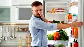 جای این میوه ها و غذاها در یخچال فریزر نیست!