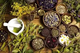 معجزه ۱۰ گیاه دارویی برای افزایش انرژی و تمرکز