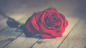 این بیماری مزمن در رابطه به هم ریختی های زیادی ایجاد می کند