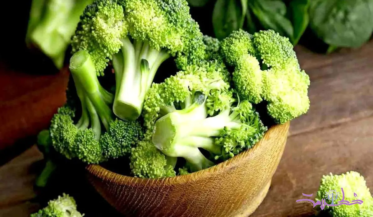 خواص شگفت‌انگیز جدید کلم بروکلی 