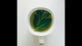 5 نوشیدنی صبحگاهی برای داشتن پوستی زیبا 