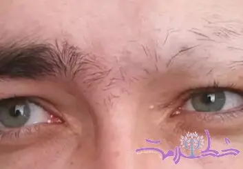 ترفندی ساده برای داشتن ابروهایی پرپشت و طبیعی