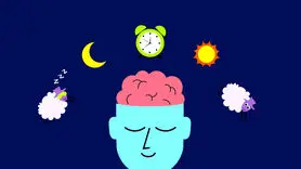 فیلم/اگر مقاومت به خواب دارید، بخوانید