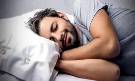 مثل کدام حیوان می خوابی؟ | روند خواب شما به کدام حیوان شبیه است؟