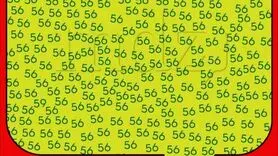 قدرت دید و ذهن ات را با پیدا کردن عدد 59 مشخص کن