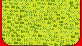 قدرت دید و ذهن ات را با پیدا کردن عدد 59 مشخص کن