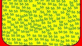 قدرت دید و ذهن ات را با پیدا کردن عدد 59 مشخص کن