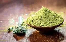 طرز استفاده از سدر در طب سنتی برای زیبایی پوست و مو