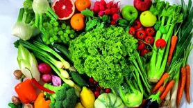 بهترین مواد غذایی برای مبارزه با یازده بیماری‌ جسمانی رایج