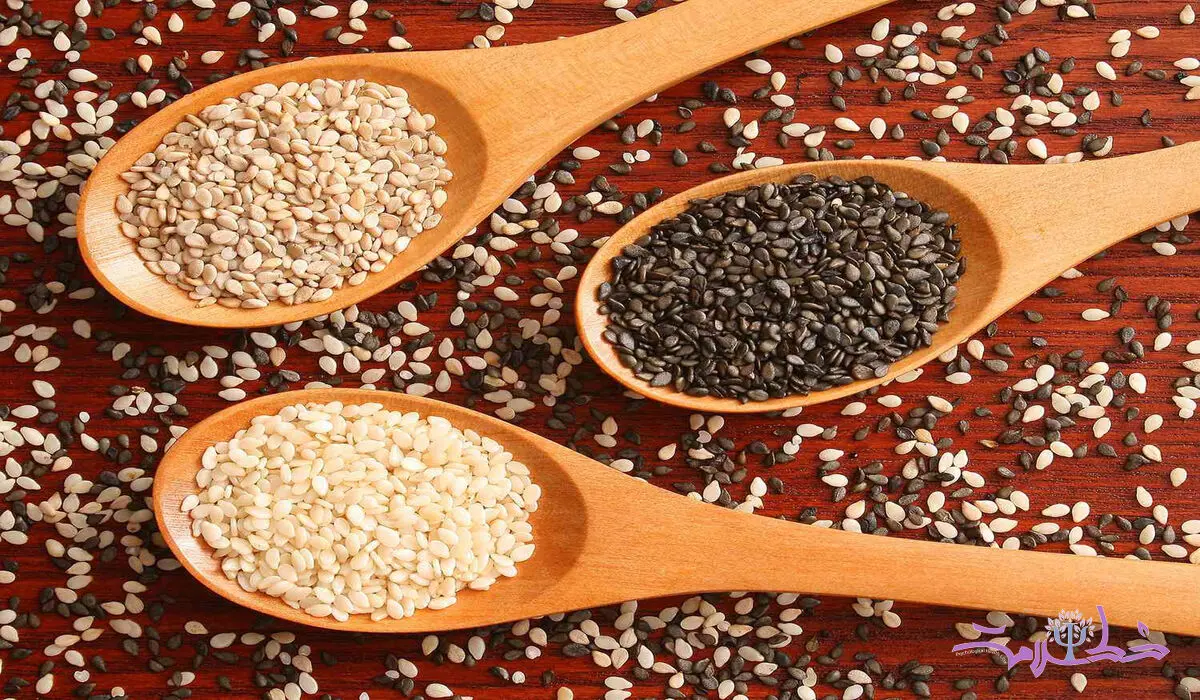 فواید کنجد برای سلامتی + مضرات