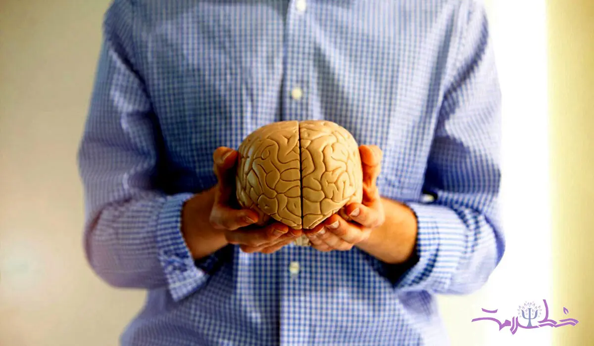 تاثیر شخصیت بر پیری مغز ! + این یافته را جدی بگیرید