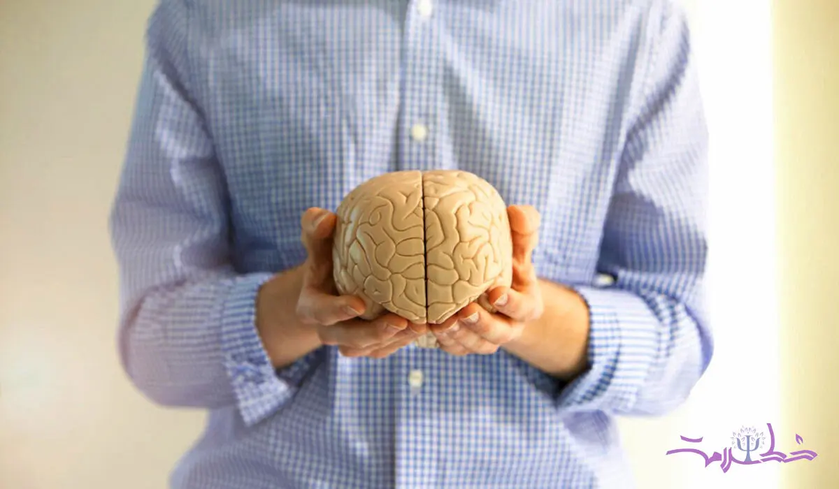 تاثیر شخصیت بر پیری مغز ! + این یافته را جدی بگیرید