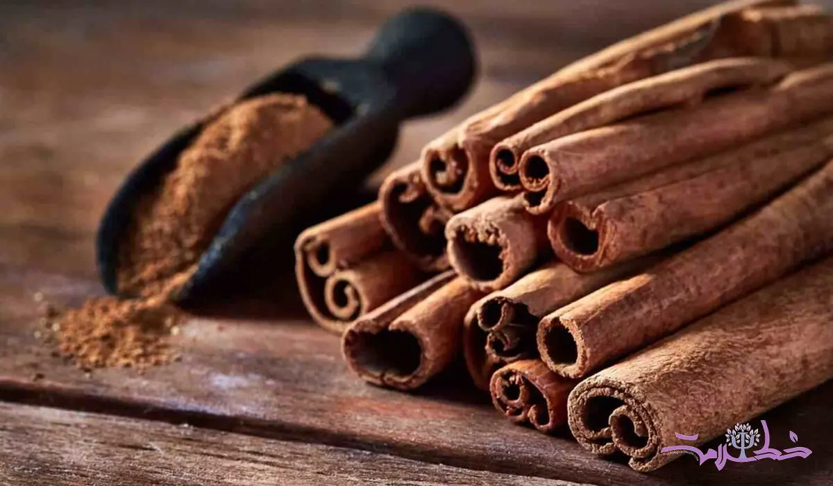 معجزه این خوراکی ها در چربی سوزی سریع