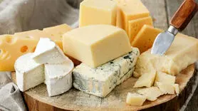 نقش عجیب پنیر در بهبود کیفیت زندگی و سلامت روان 
