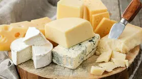 نقش عجیب پنیر در بهبود کیفیت زندگی و سلامت روان 