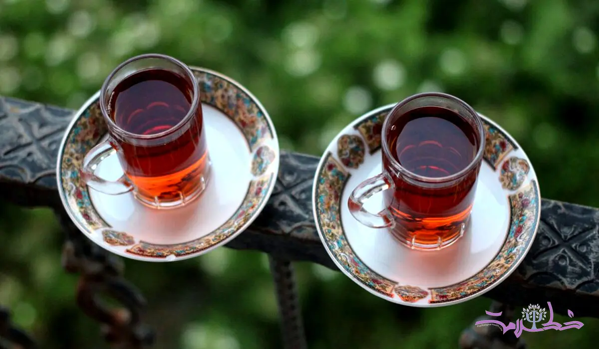 طرز تهیه ۵ نوشیدنی ساده و پرخاصیت با دارچین