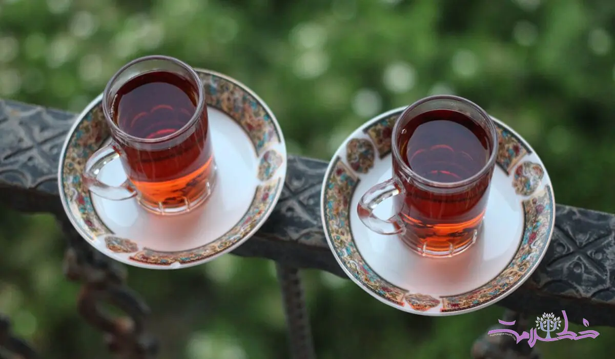 طرز تهیه ۵ نوشیدنی ساده و پرخاصیت با دارچین