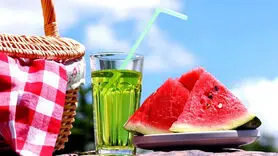  این مواد غذایی سیراب تان می کند / بهترین راه برای خنک شدن در گرمای شدید تابستان