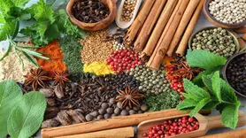 بهترین ادویه‌ها برای پخت و پز در فصل پاییز 