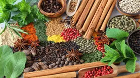 بهترین ادویه‌ها برای پخت و پز در فصل پاییز 