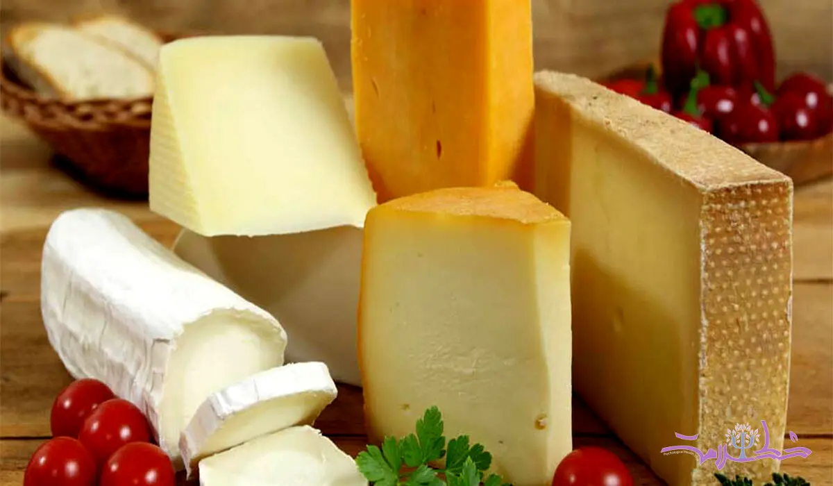 پنیر کلبه در رژیم لاغری موثر است!